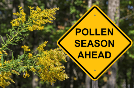 How Pollen Season Can Impact Your Car