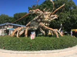 Giant lobster sculpture on a grassy roundabout, in front of a building on a sunny day.