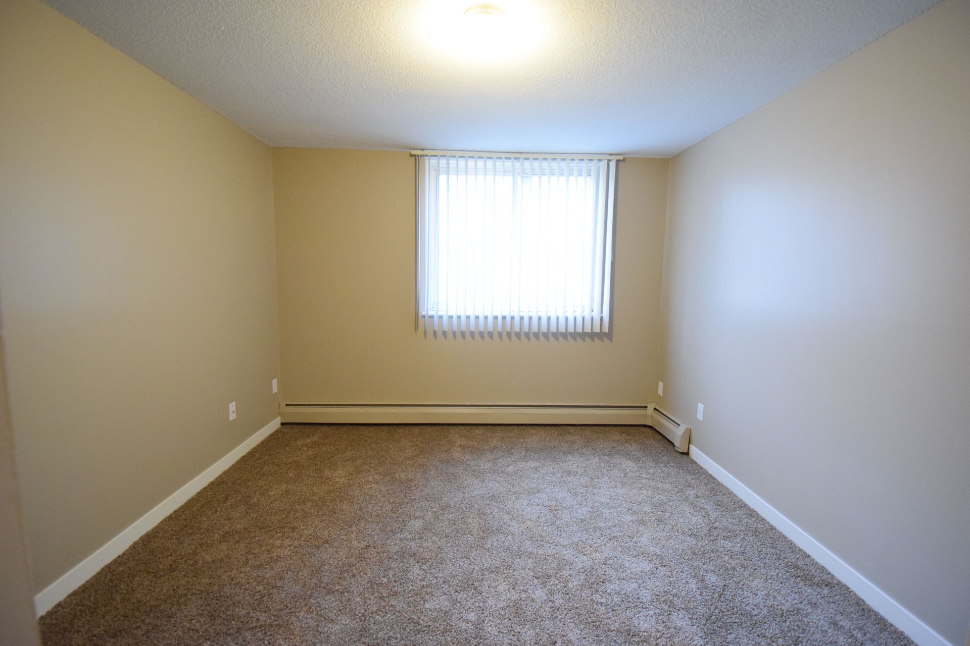 An empty bedroom with a window and a carpeted floor.