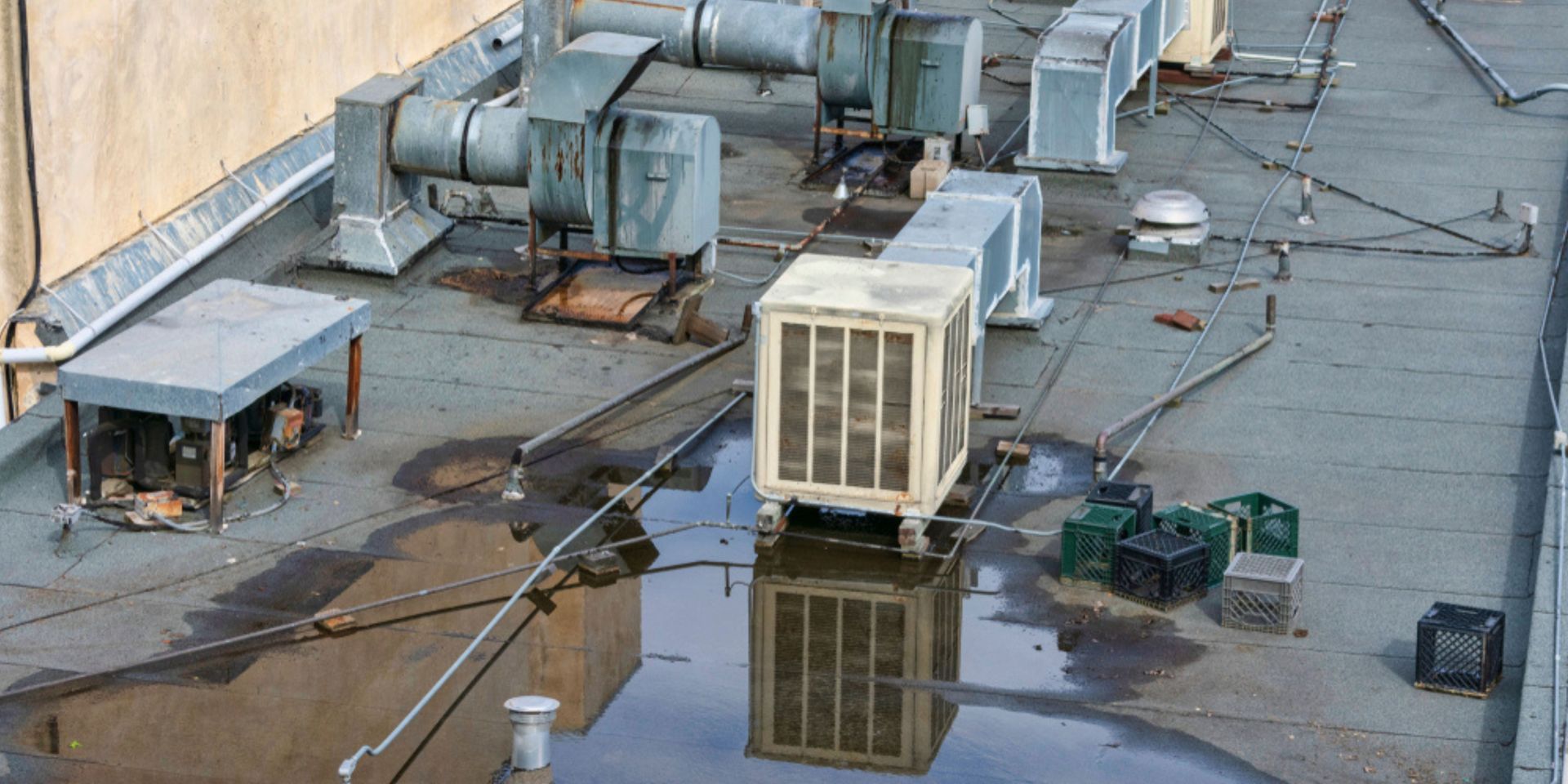 Water damage restoration in a commercial office space with technicians at work.