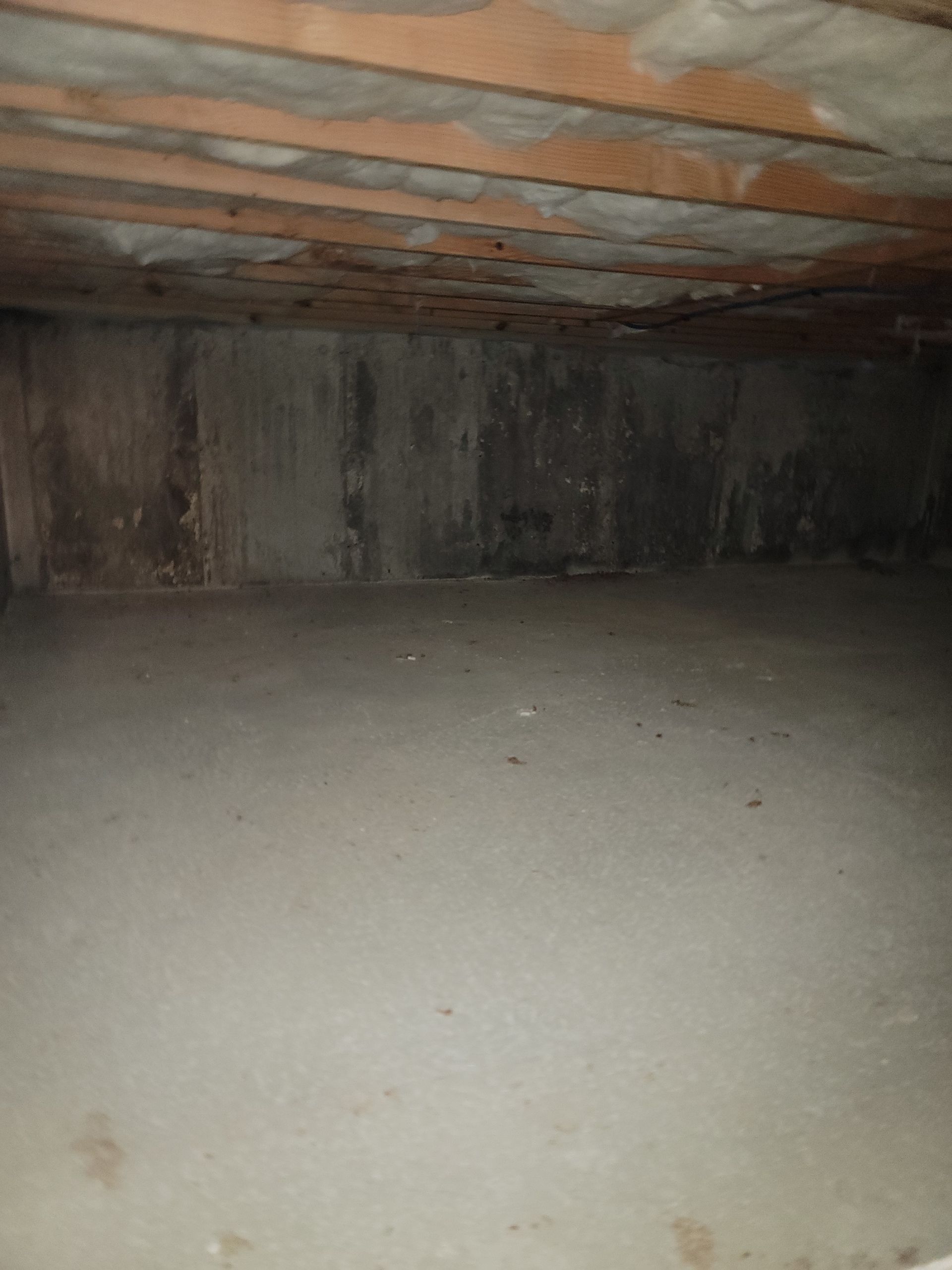 An empty basement with a wooden ceiling and a concrete floor.