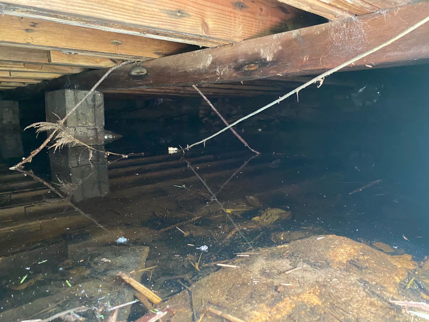 A spider web is hanging from the ceiling of a house.