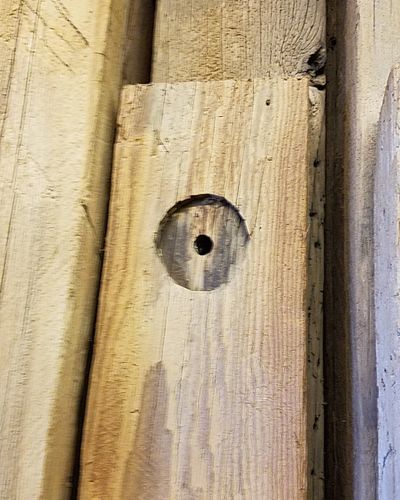 Salt Lake City — Zoomed Photo of a Wood with one Hole in Salt Lake City, UT