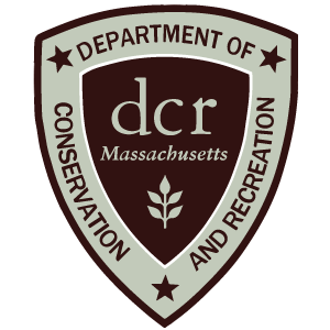 DCR