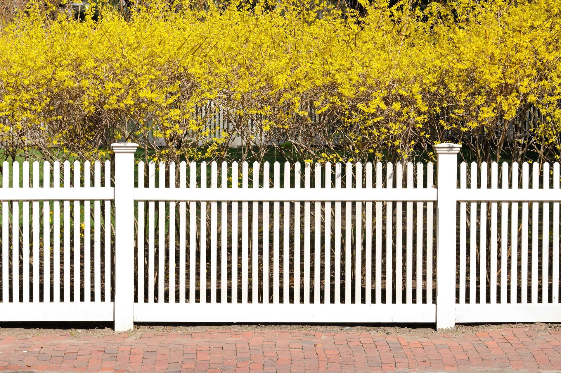 Beaverton fence