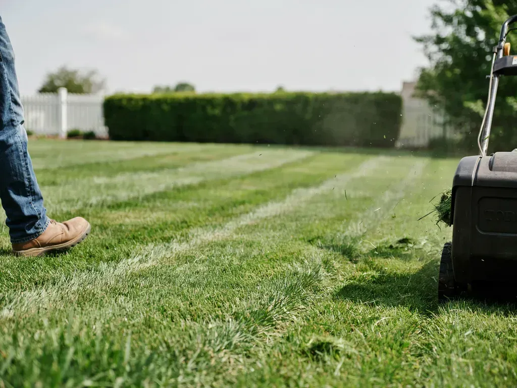 Person mowing a green lawn with a push mower near a hedge