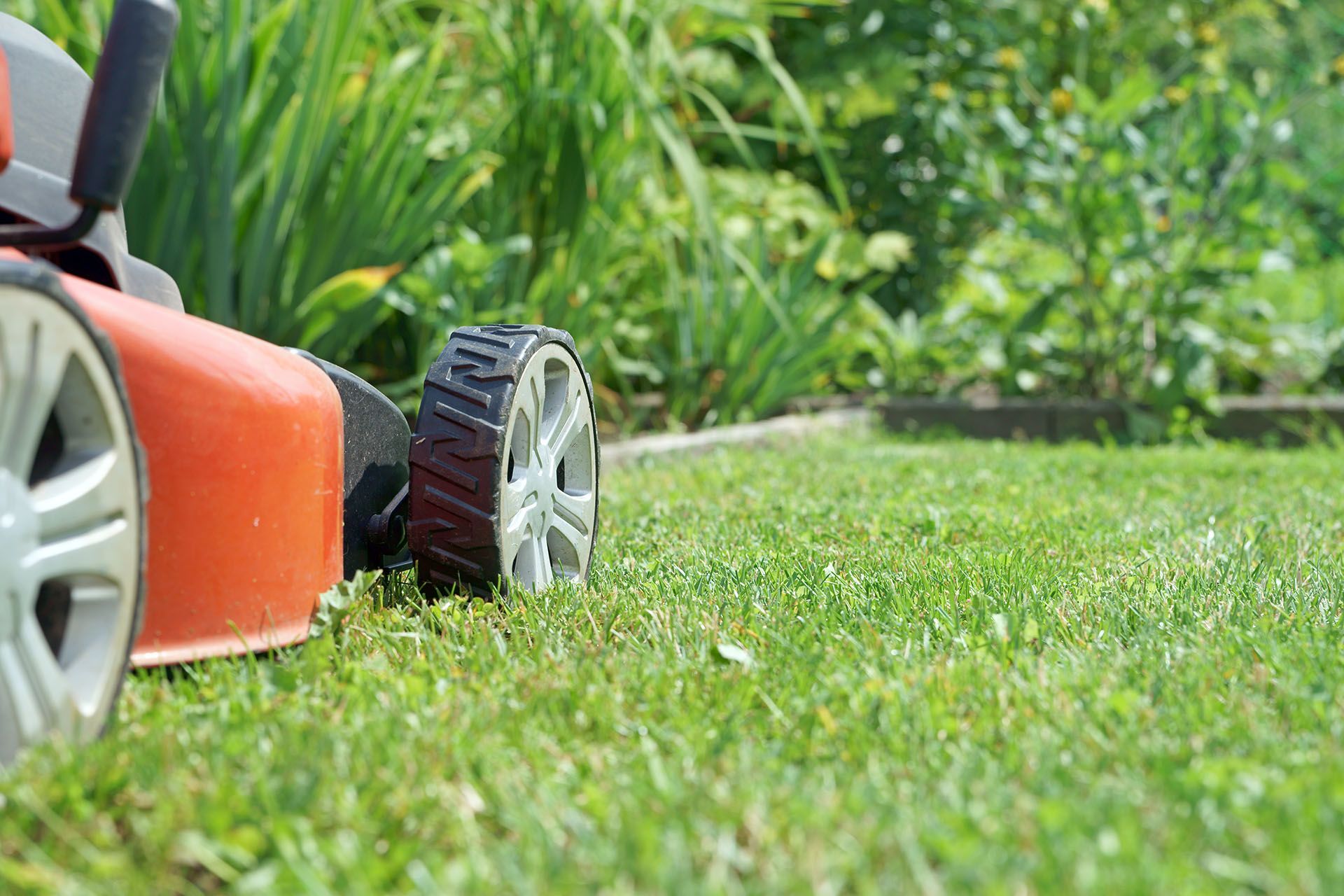 Garden tools and leaf bags on a lawn beside a brick house, with a row of trimmed shrubs.