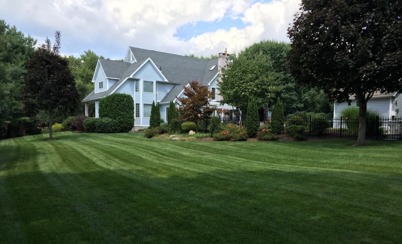Lawn care worker mowing a green front yard with a push mower, facing a white house and driveway.