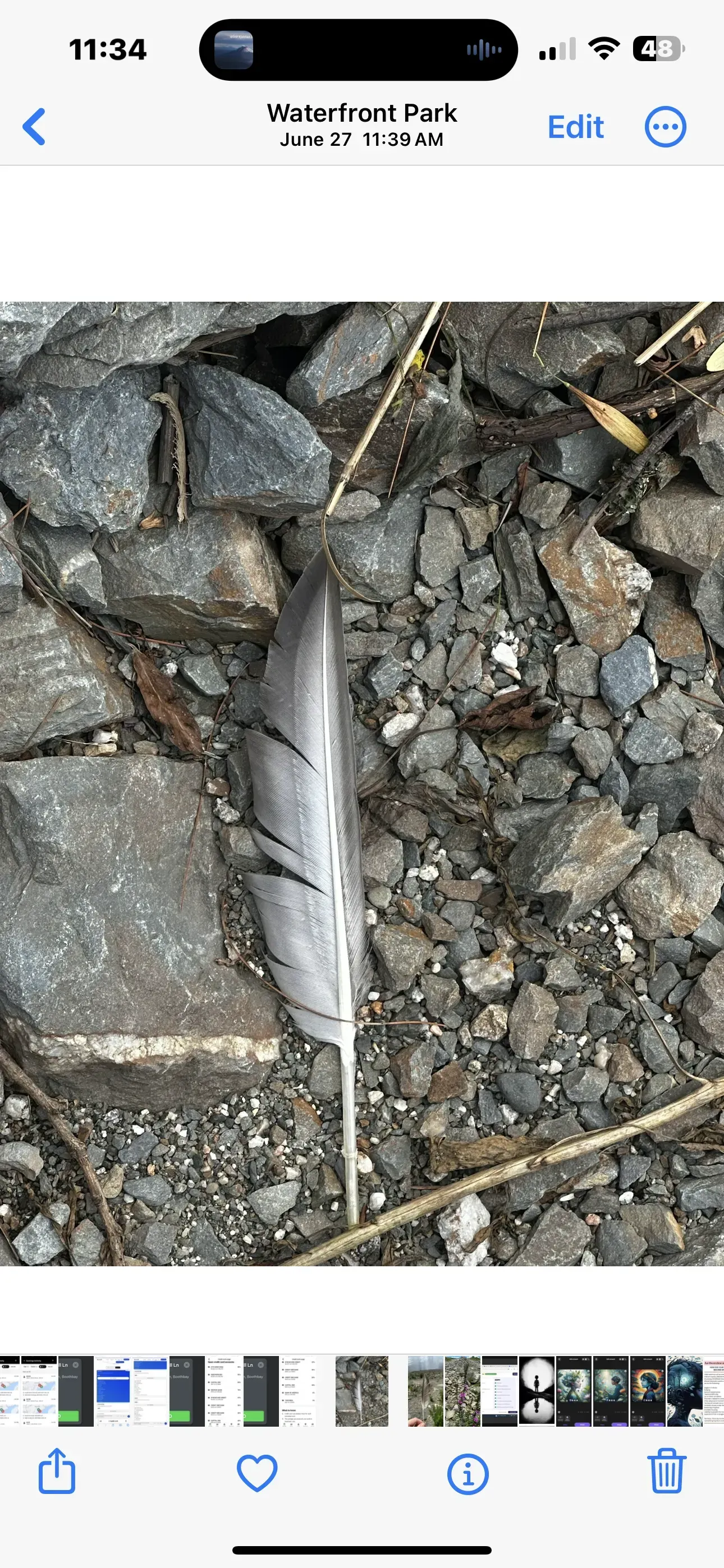 A silhouette of a woman with a heart in her chest