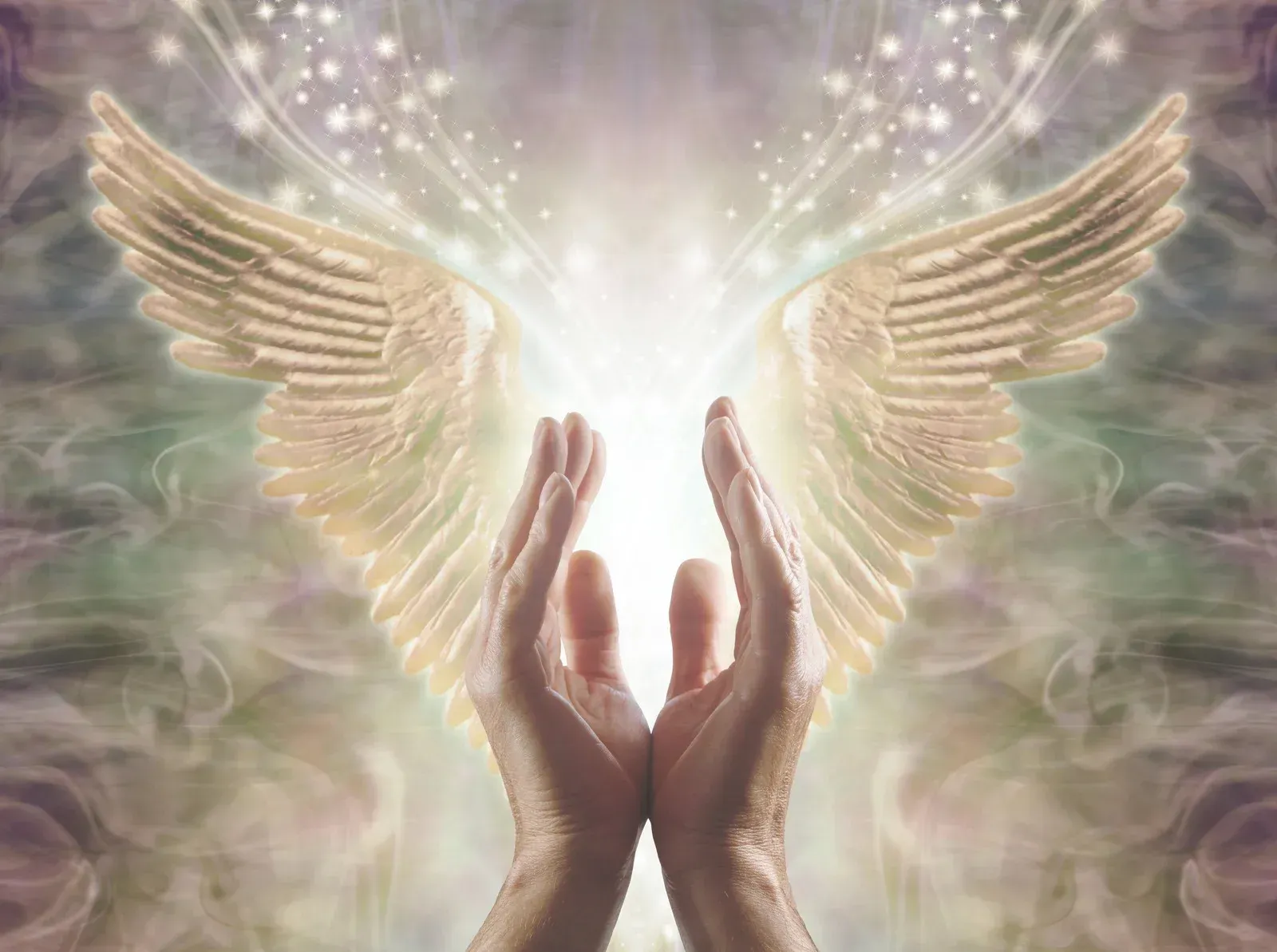 A person is holding a pair of angel wings in their hands.