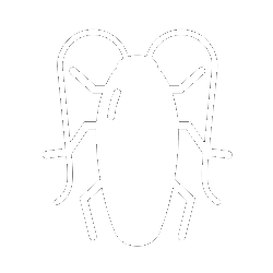 Termites | Tampa, FL | Pestgo Exterminators