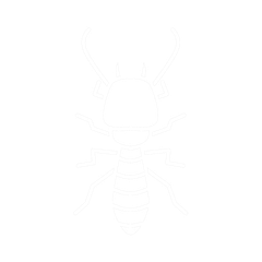 Termites | Tampa, FL | Pestgo Exterminators