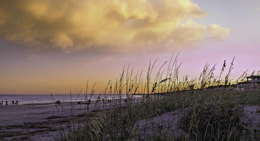 A sunset over a beach with tall grass in the foreground.
