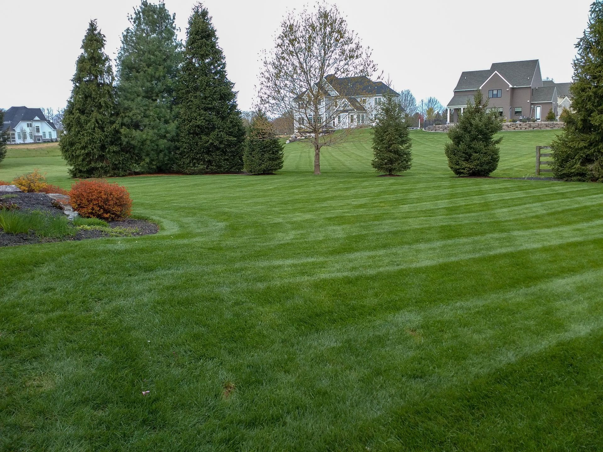 Well-manicured green lawn with striped mowing pattern, landscaping, and houses in the background.