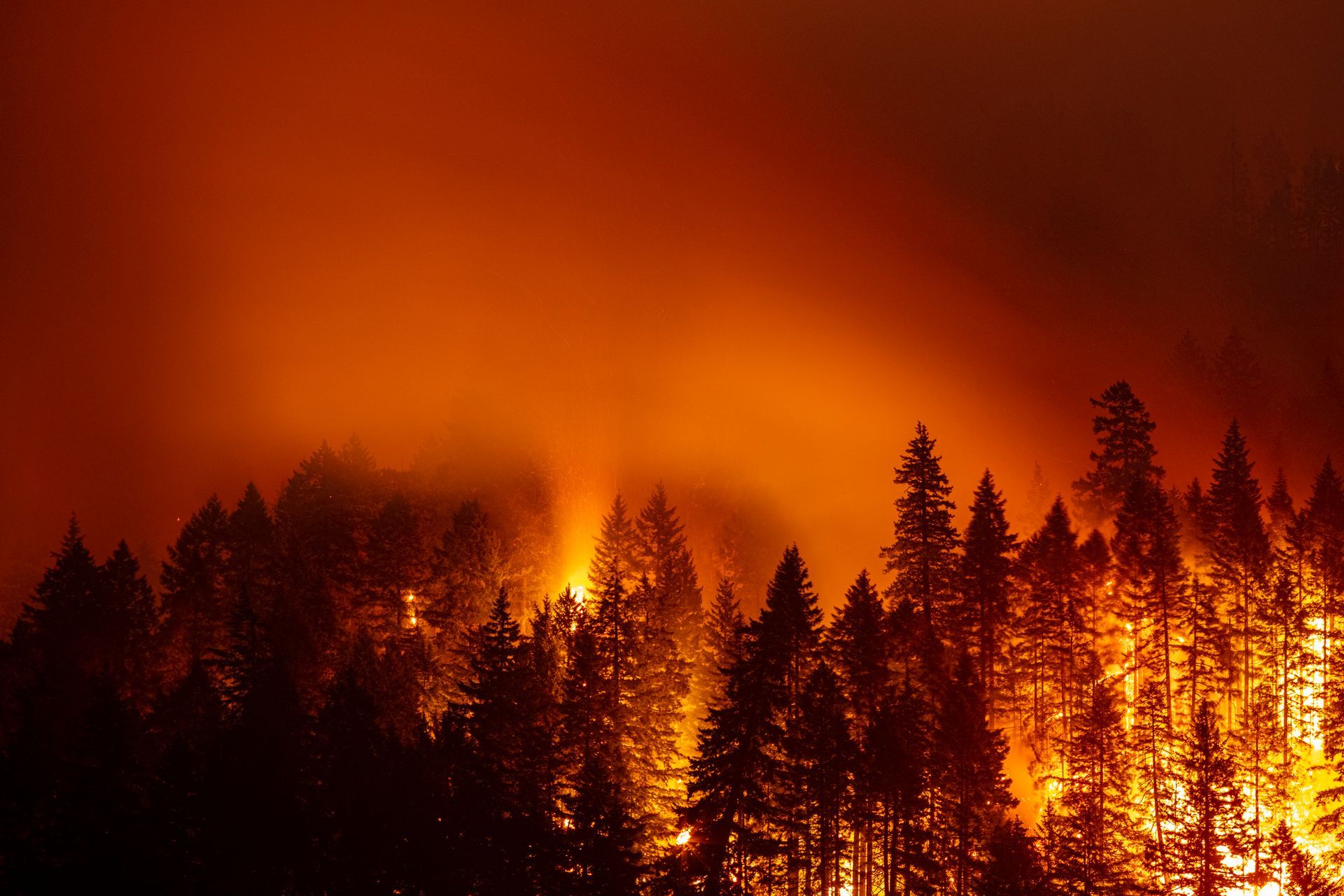 Forest Fire — Ellensburg, WA — Firesmart NW, LLC