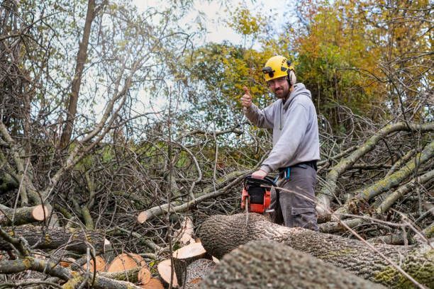A Man Cutting A Tree — Ellensburg, WA — Firesmart NW, LLC