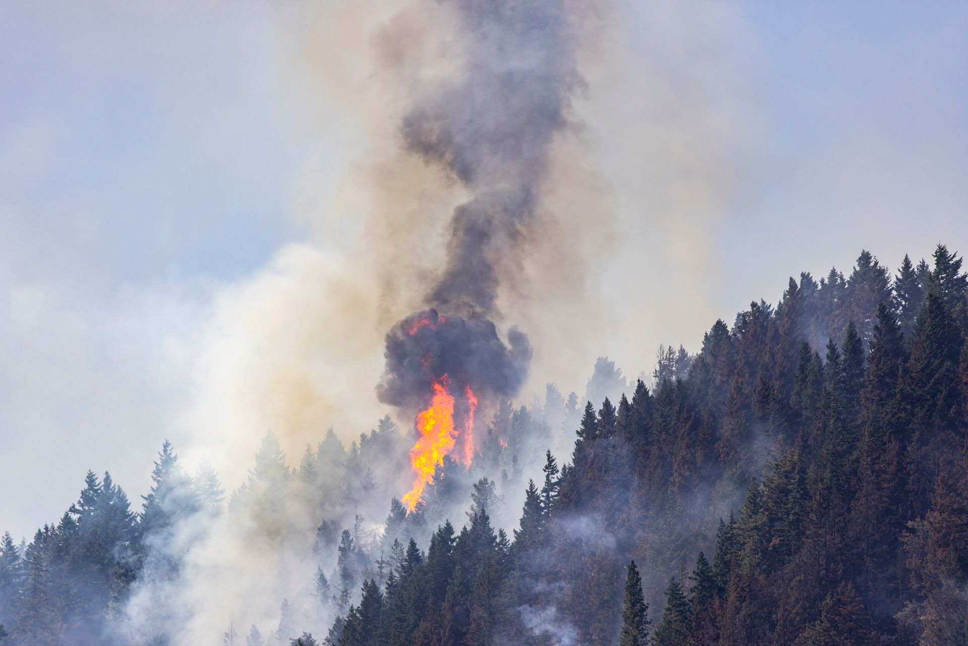 Wildfire — Ellensburg, WA — Firesmart NW, LLC