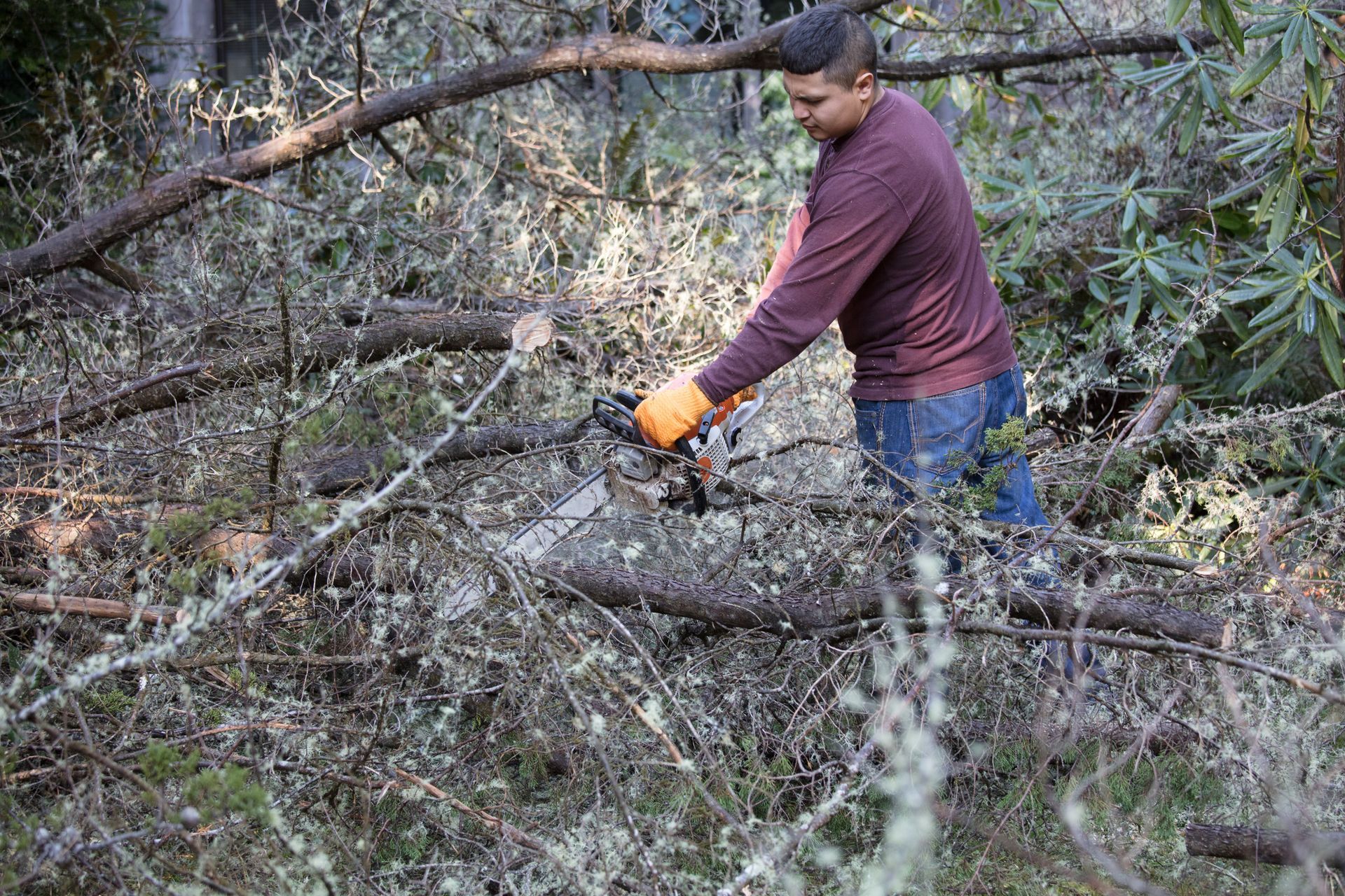 A Man Cutting Tree Branches — Ellensburg, WA — Firesmart NW, LLC