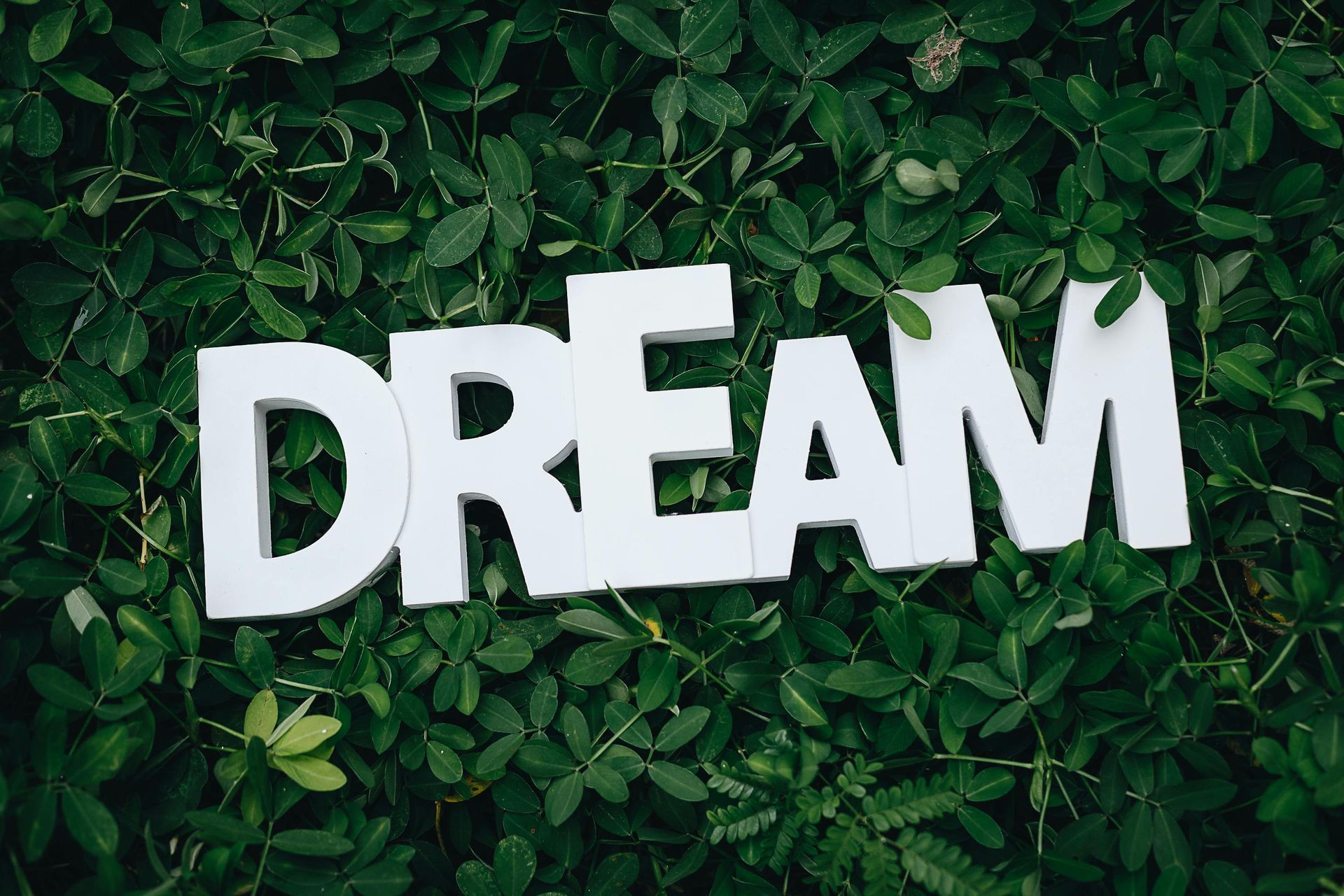 The word dream is written in white letters on a green background.