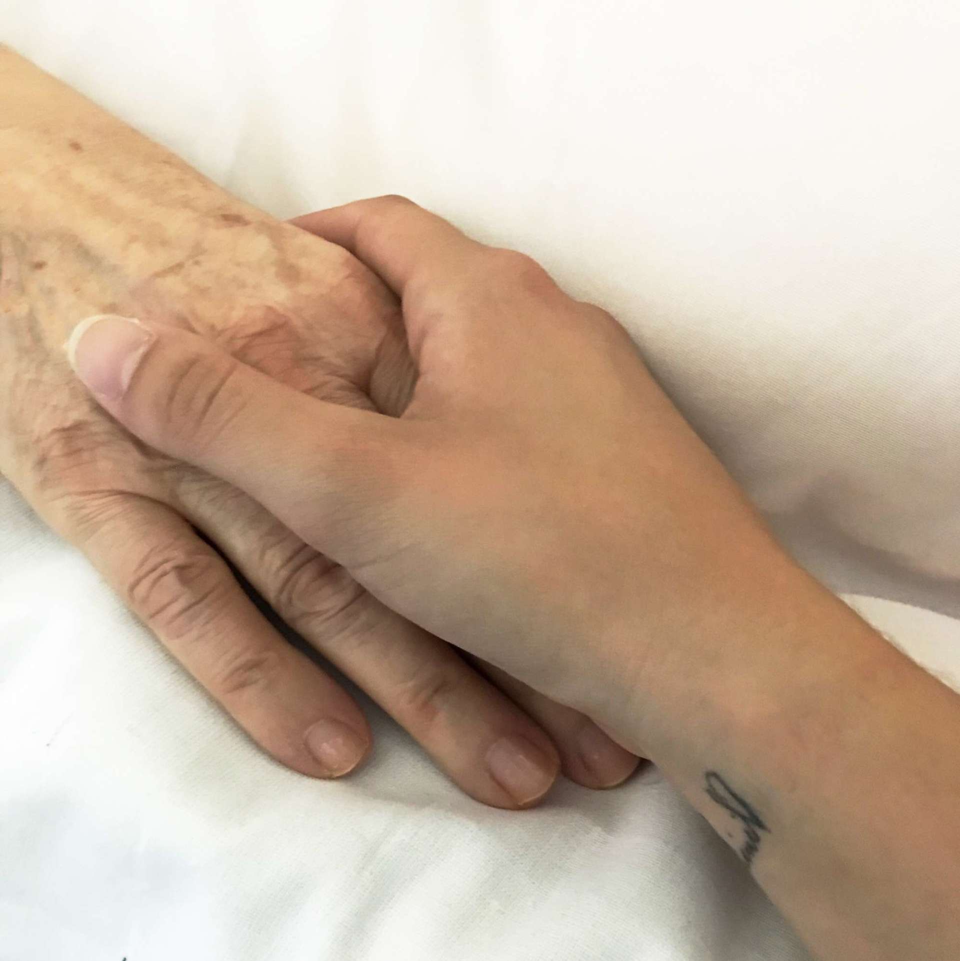 Mani che si stringono