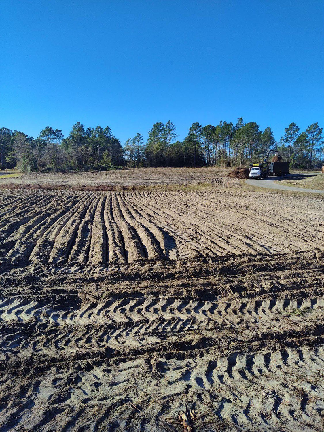 Empty field of land after land clearing service in Inverness, FL.