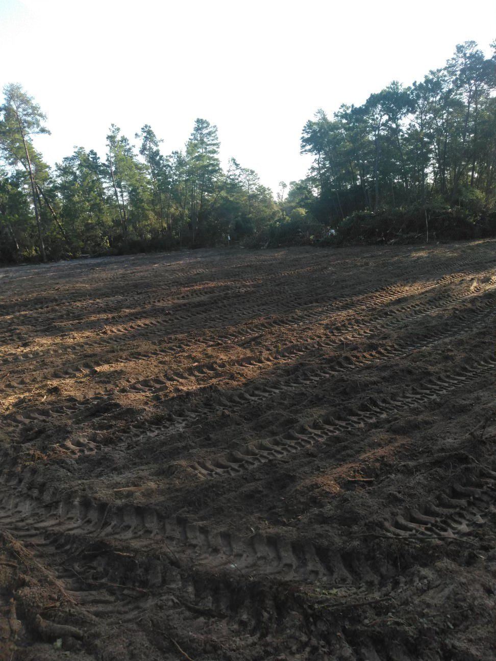 Field of dirt with fallen trees in the background.