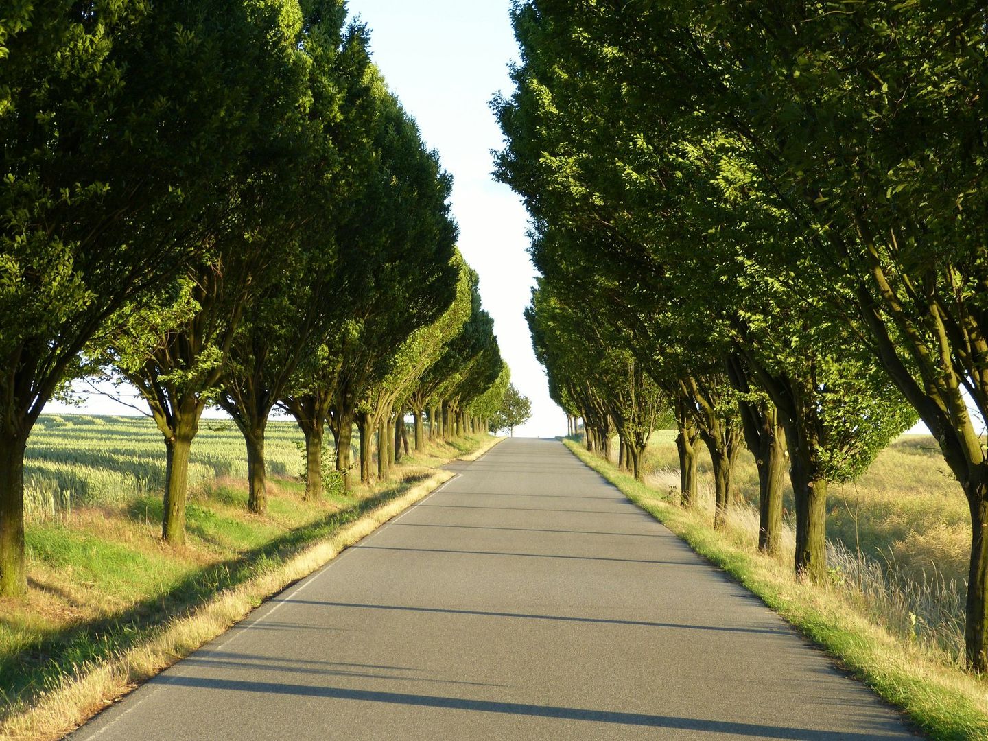 New asphalt paved road