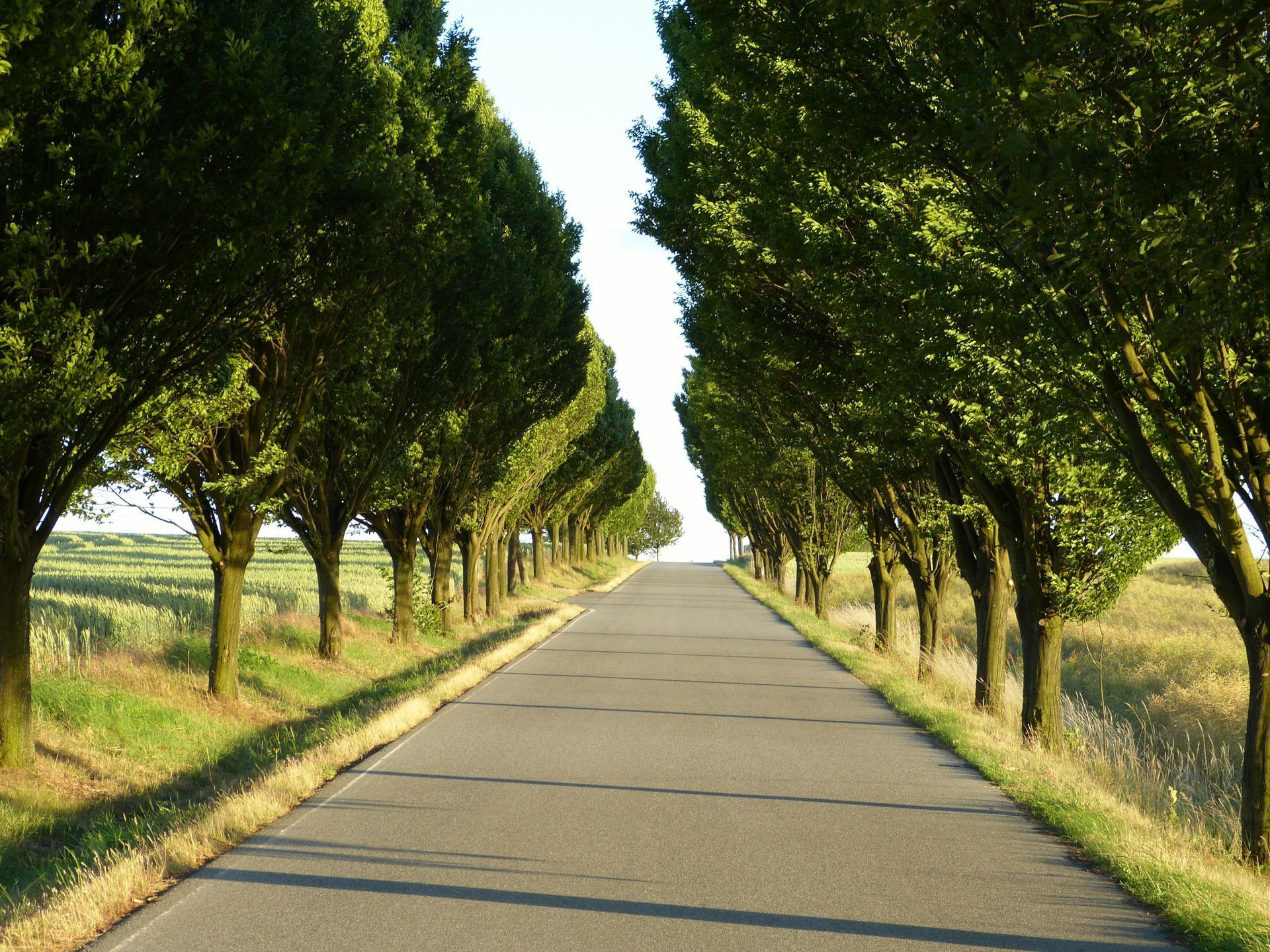 New asphalt paved road