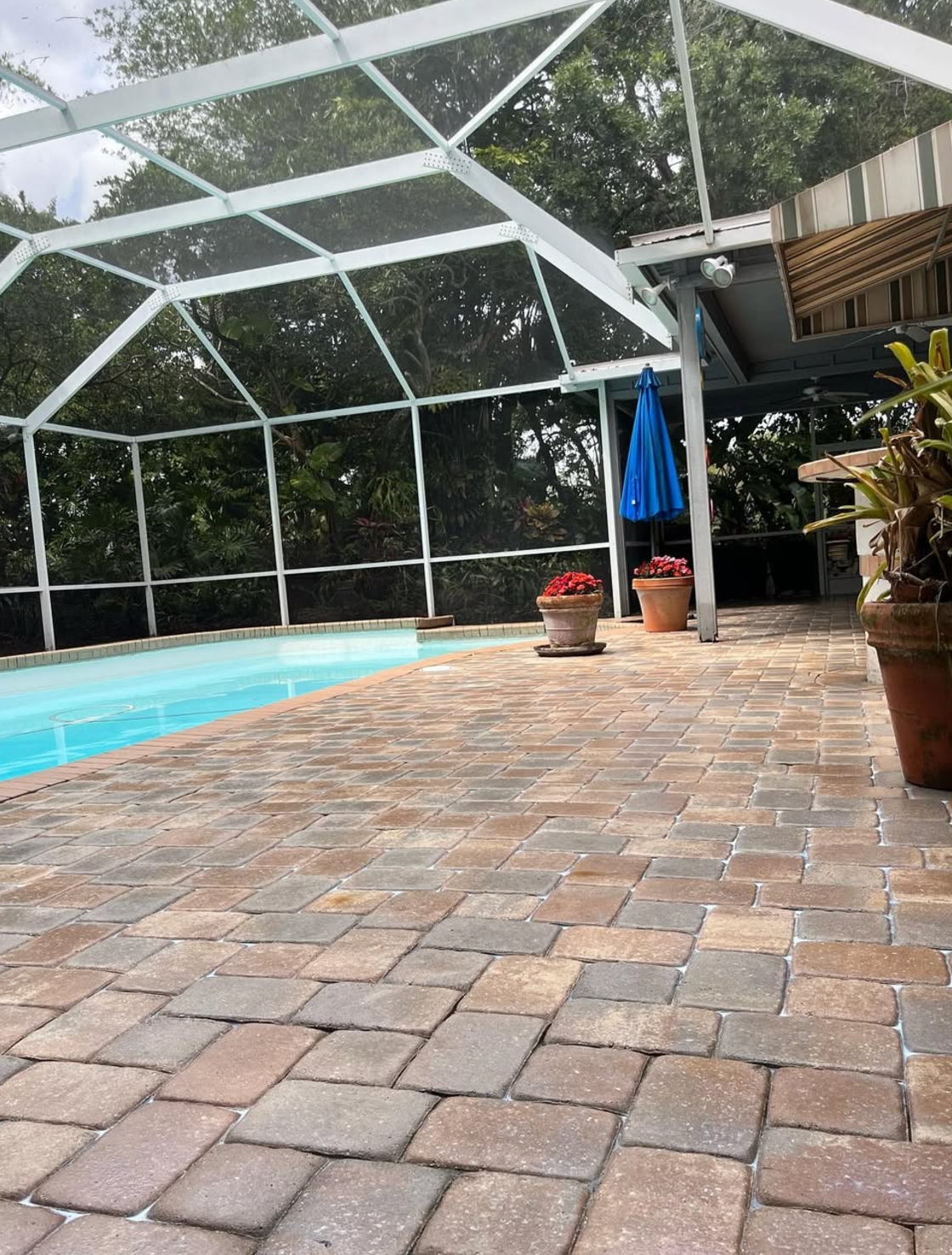 A swimming pool with a screened in area and a brick floor.
