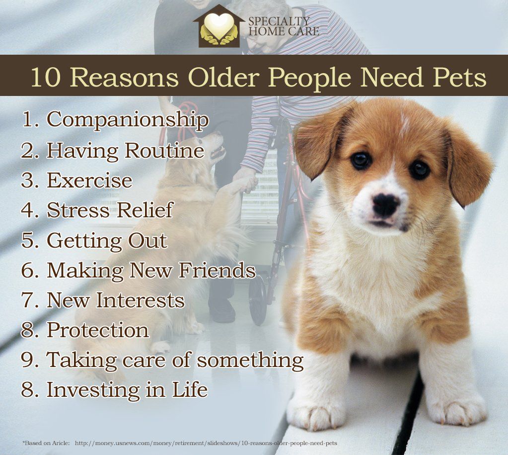 10 reasons people need pets banner — Derry, PA — Specialty Home Care