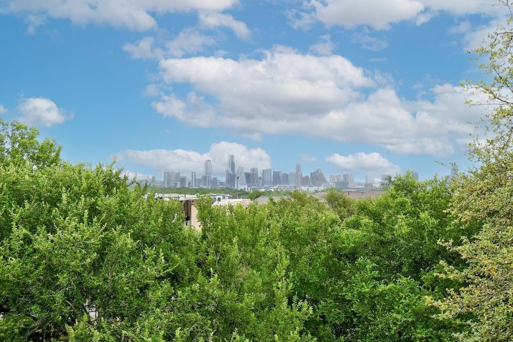A city skyline is visible through the trees in the foreground.
