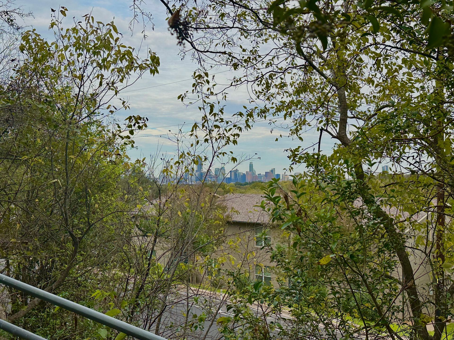 A city skyline is visible through the trees in the distance.