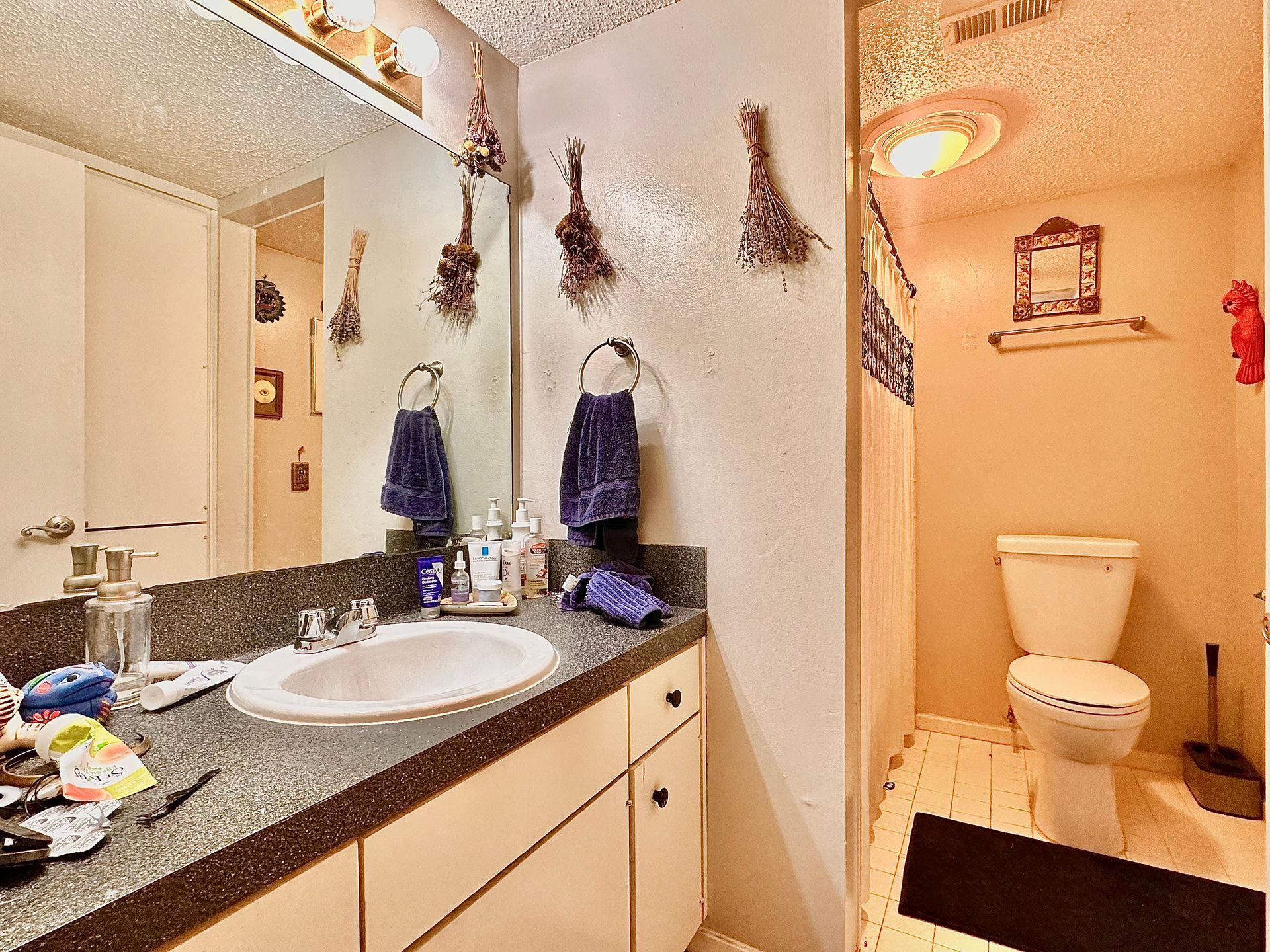 A bathroom with a sink , toilet and mirror