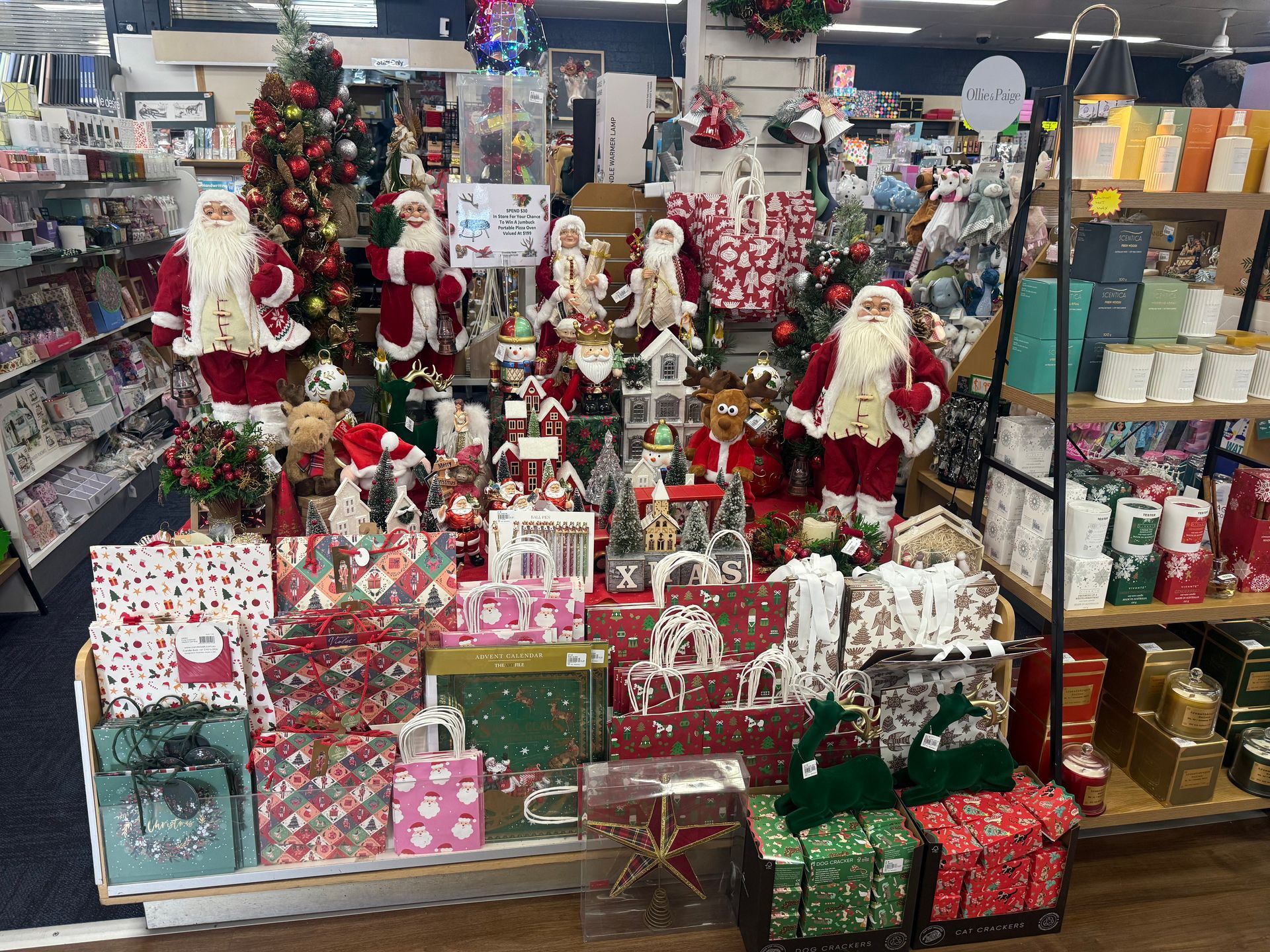 Woman Reading Book — Local Newsagent in Moss Vale, NSW