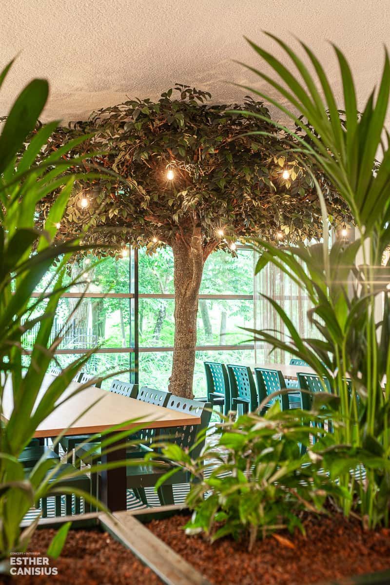 Een kunstboom en veel planten: Biophilic design in Gouda