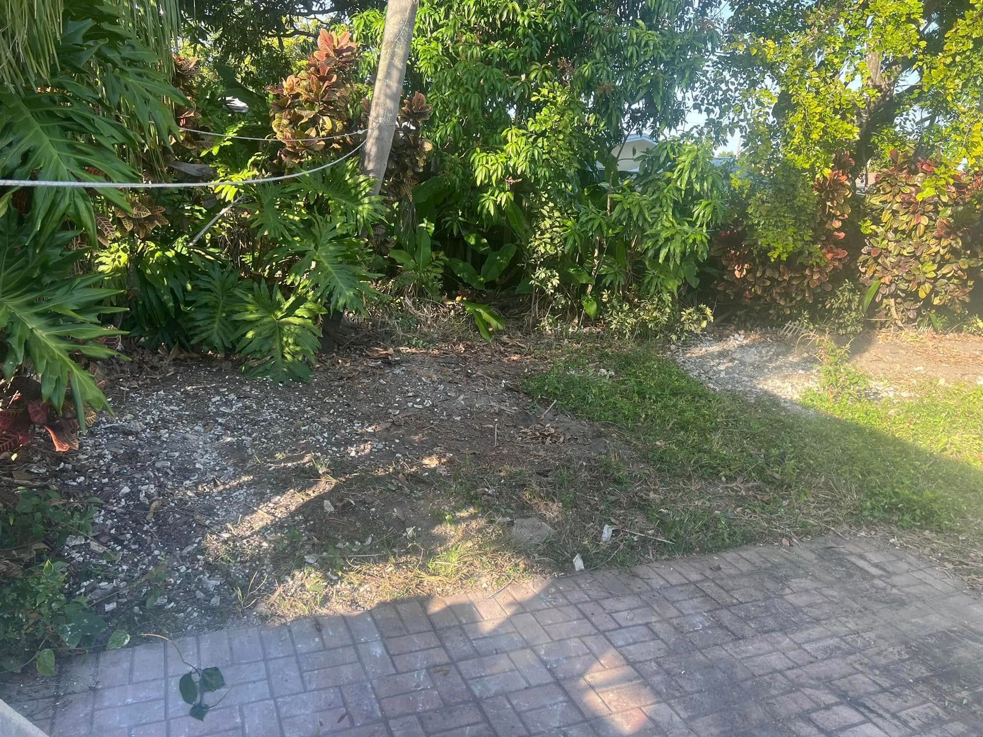 A brick patio edges a patch of dirt and sparse vegetation, leading to a lush garden with trees and shrubs.