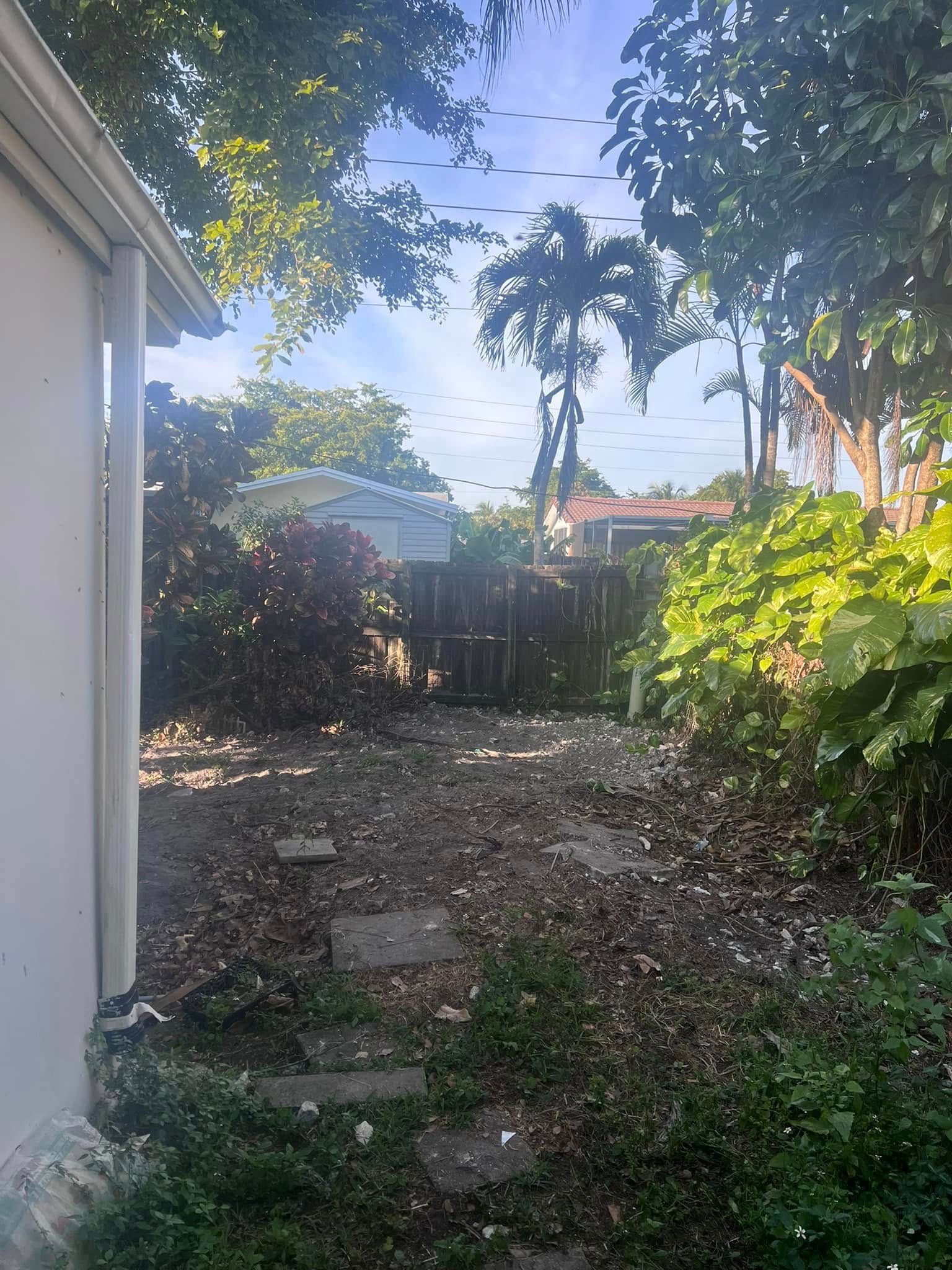 A sunny residential backyard with scattered fallen leaves, overgrown greenery, and a fence in the background.