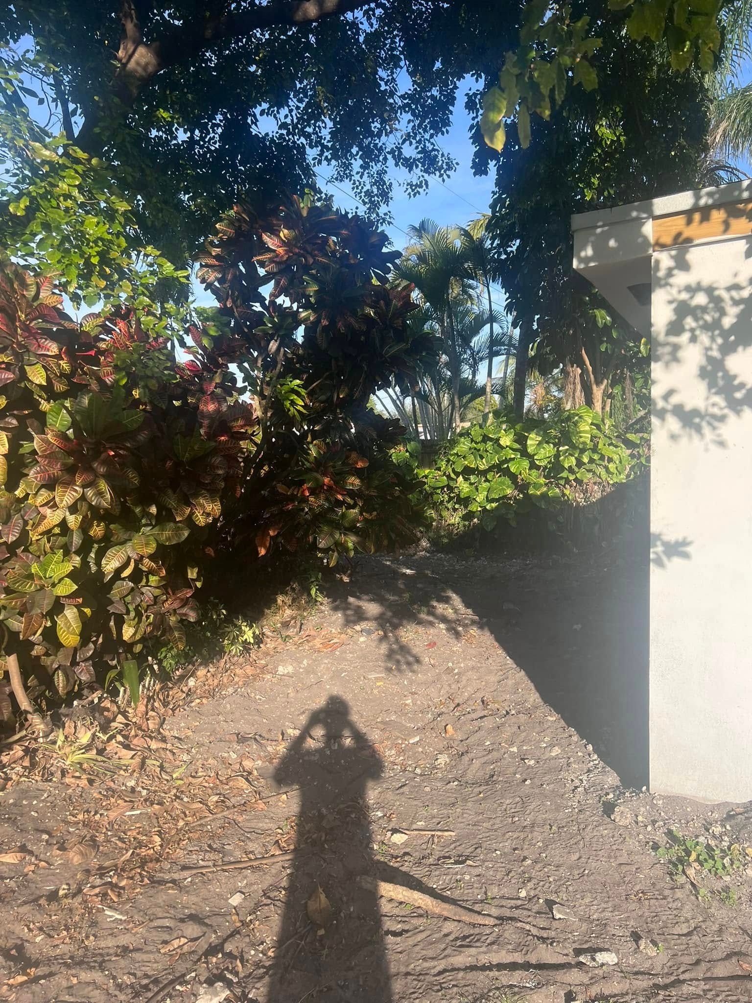 A tall, elongated shadow of a person taking a photo falls across a dirt path next to a white wall and leafy trees.