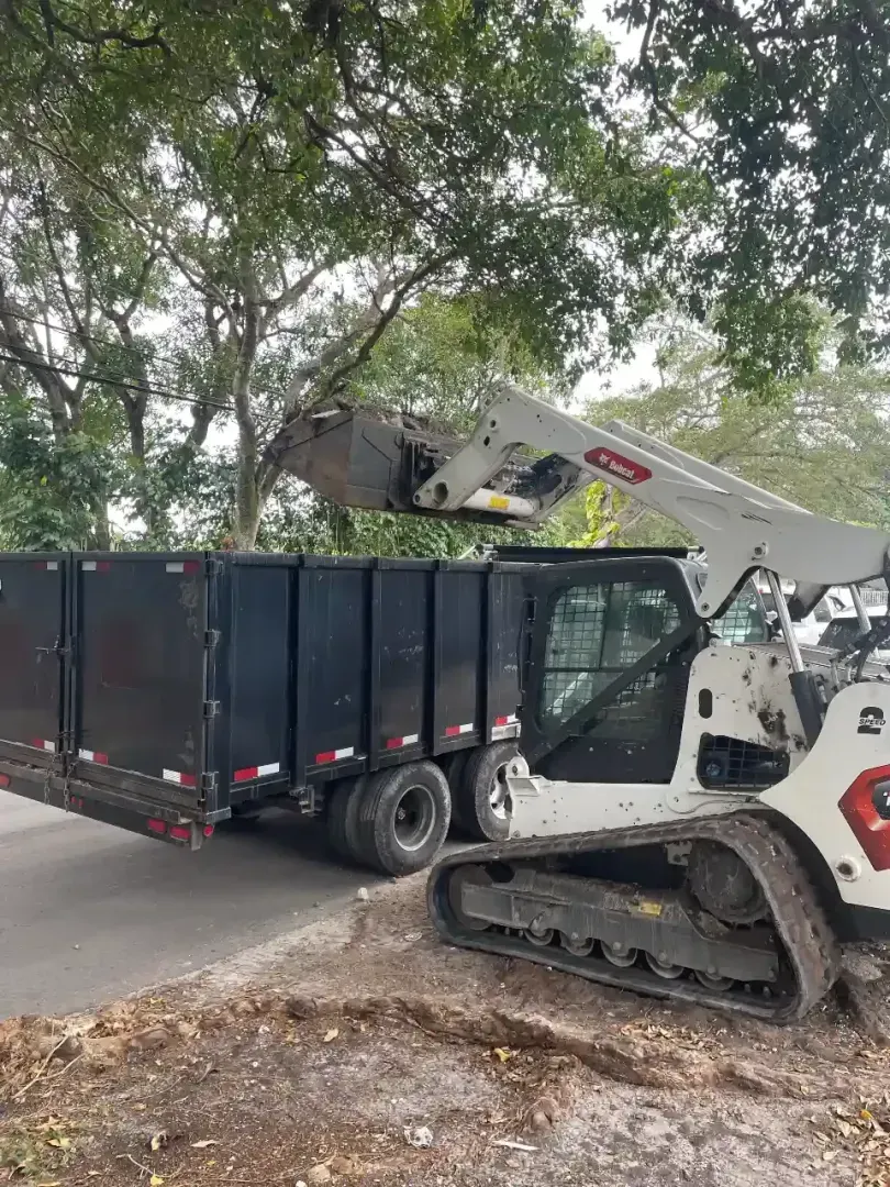 A white skid-steer loader positioned beside a black dumpster trailer, its bucket raised to deposit material inside.