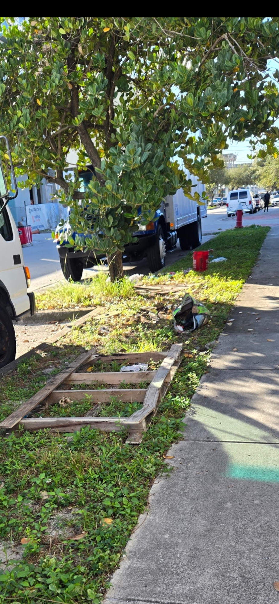 A wooden pallet lies on a grassy strip beside a sidewalk near a tree and a parked vehicle in an urban area.
