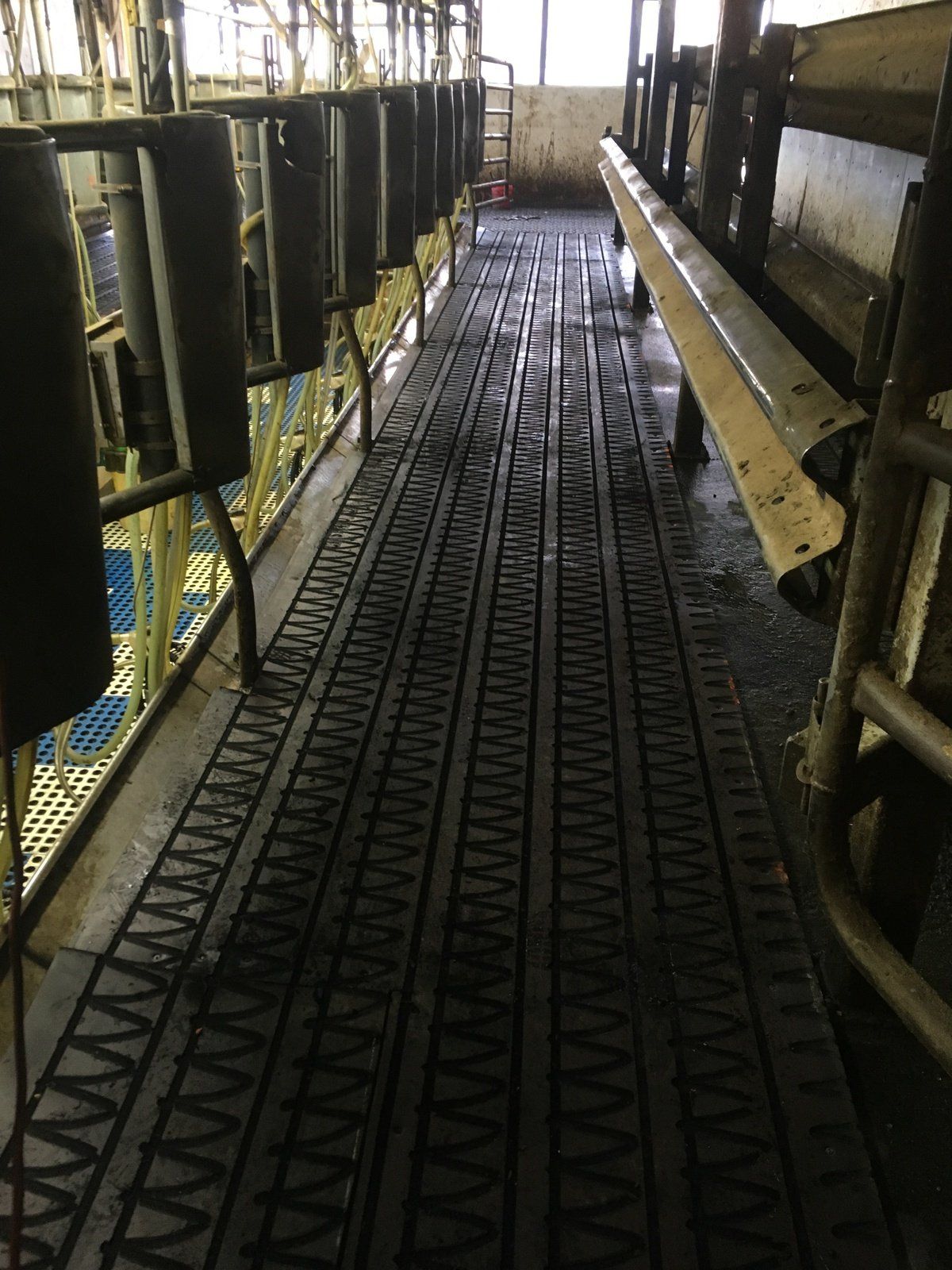 Grooved Rubber Flooring Horse & Cow Mats Tim Gabel Belting, Inc