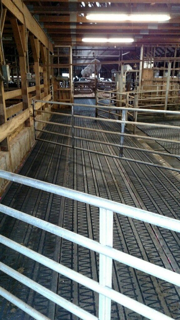 Rubber Flooring For Livestock - Gabel Belting, Inc.