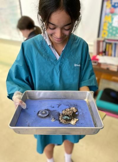 A girl in a blue scrub top is holding a tray of oysters.