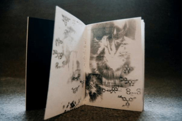 Book: Intentions He Risked