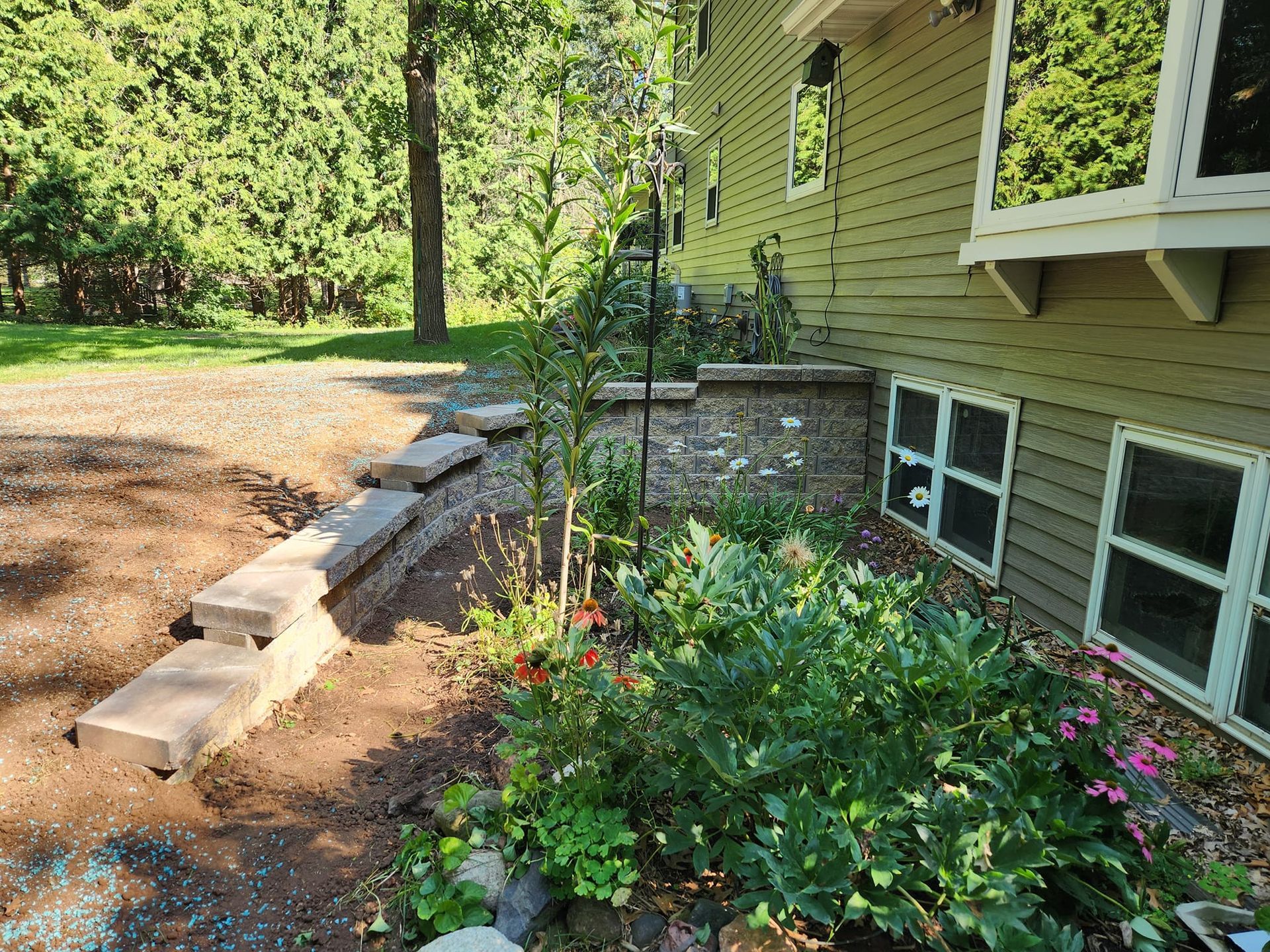 Steps leading up to a house with a garden bed full of plants; sunlight and greenery.