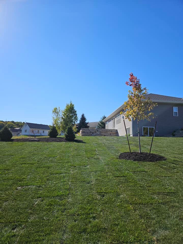 Green lawn with trees and a house under a clear blue sky.
