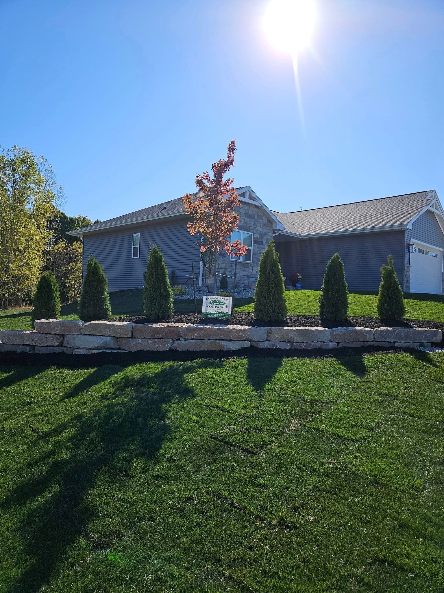 A newly landscaped garden bed with evergreen trees, a young tree, and a stone wall in front of a house on a sunny day.