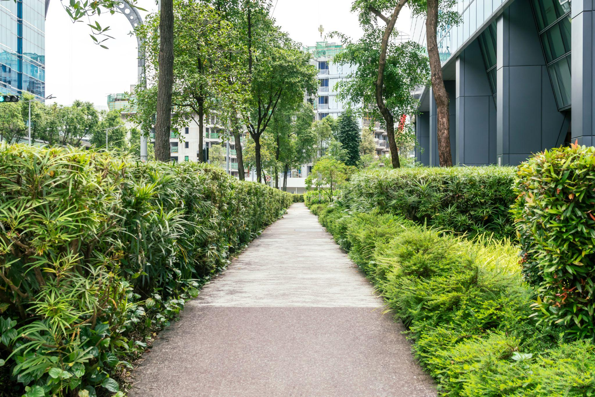 Concrete Walkway Installation Styles That Suit Every Home Type