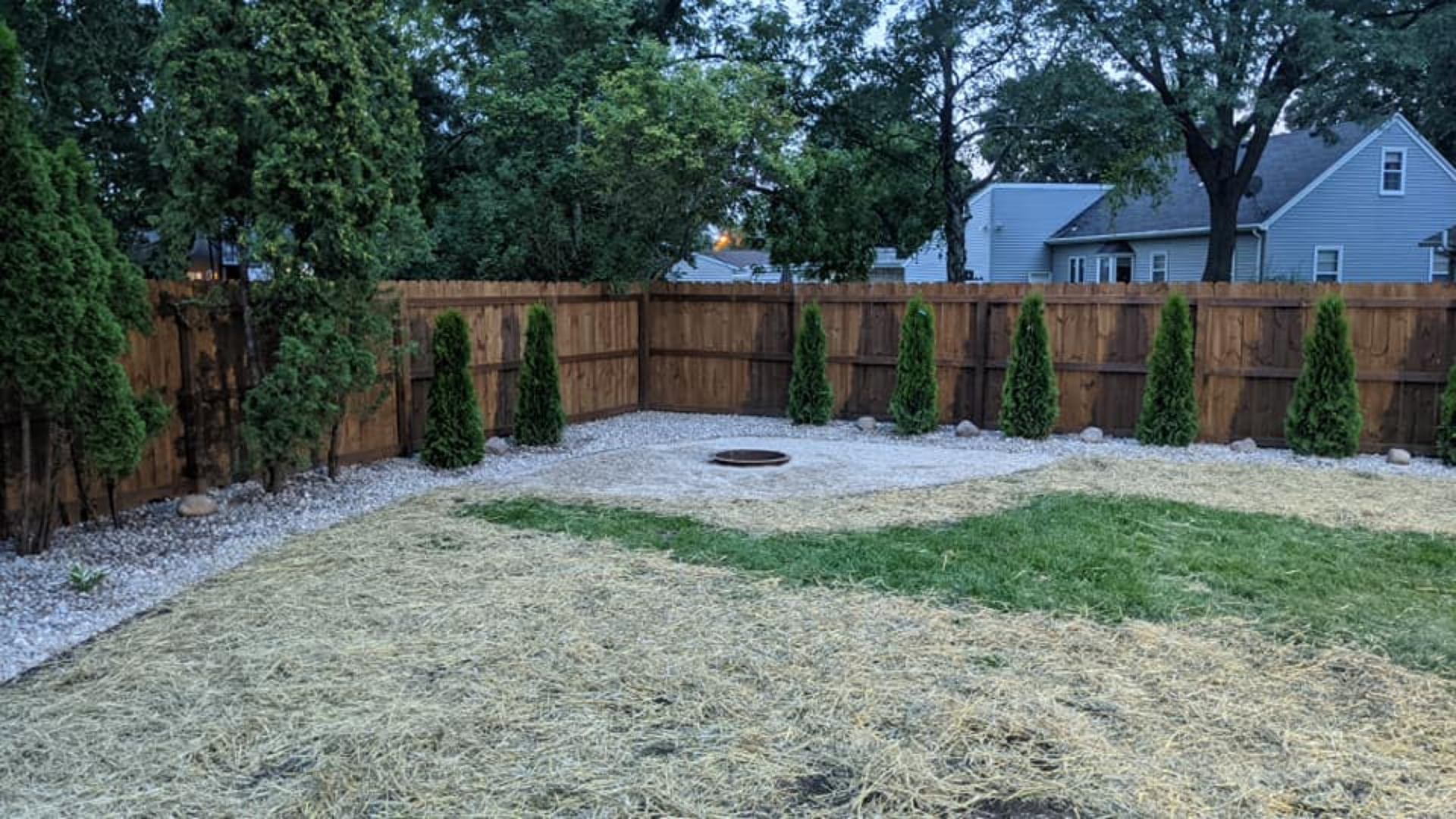 Backyard with brown fence, small trees, and gravel paths. Green grass and straw. Houses in the distance.