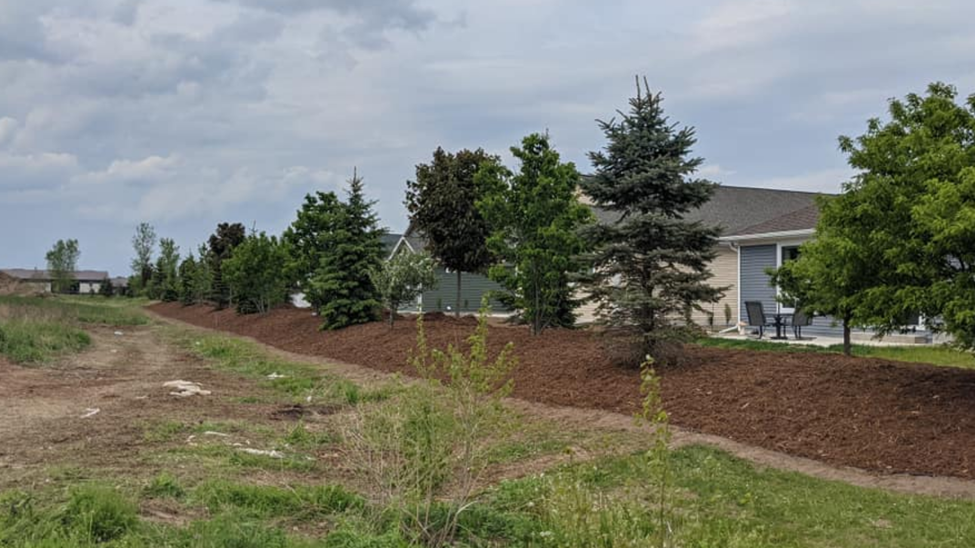 Row of trees along a residential area with mulch, grass, and a cloudy sky.